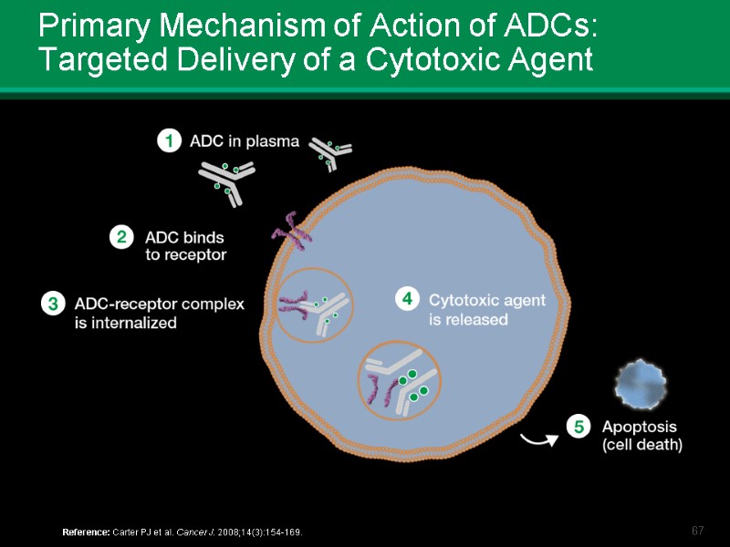 Primary Mechanism of Action of ADCs: Targeted Delivery of a Cytotoxic Agent Reference: Carter